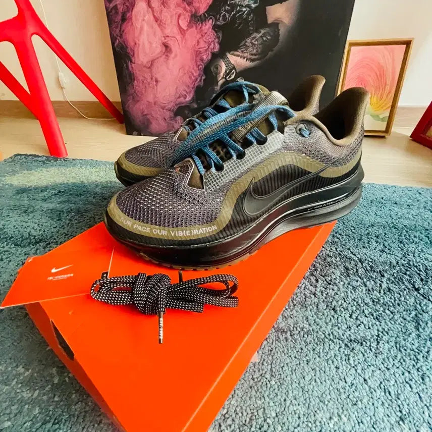 [BUNJANG] Nike Pegasus Premium International Running Shoes / 나이키 페가수스 프리미엄 인터네셔널 260