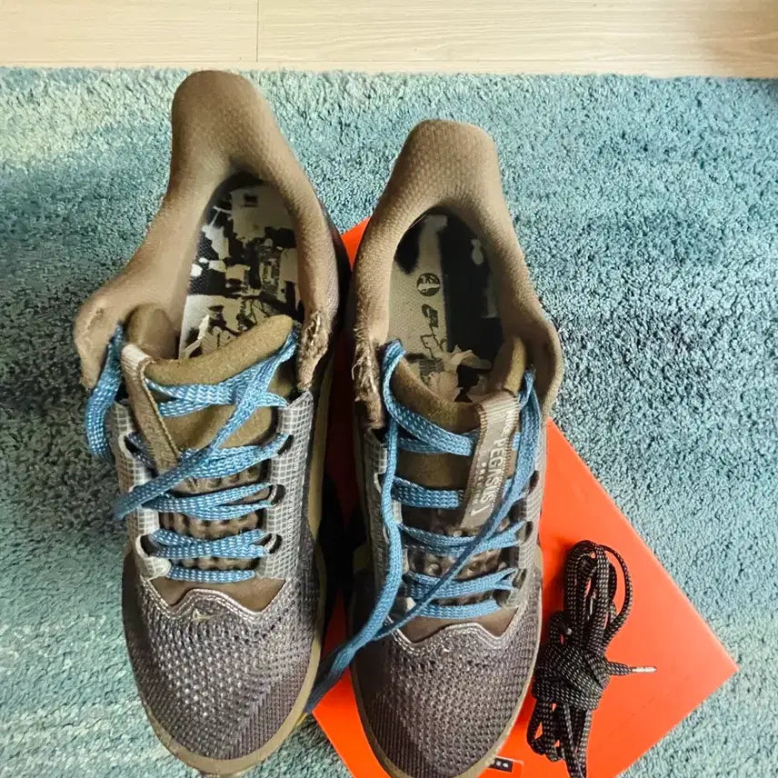[BUNJANG] Nike Pegasus Premium International Running Shoes / 나이키 페가수스 프리미엄 인터네셔널 260
