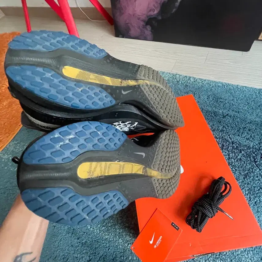 [BUNJANG] Nike Pegasus Premium International Running Shoes / 나이키 페가수스 프리미엄 인터네셔널 260