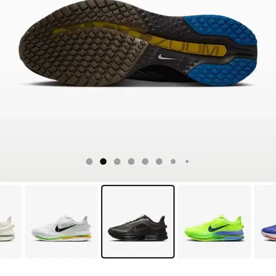 [BUNJANG] Nike Pegasus Premium International Running Shoes / 나이키 페가수스 프리미엄 인터네셔널 260