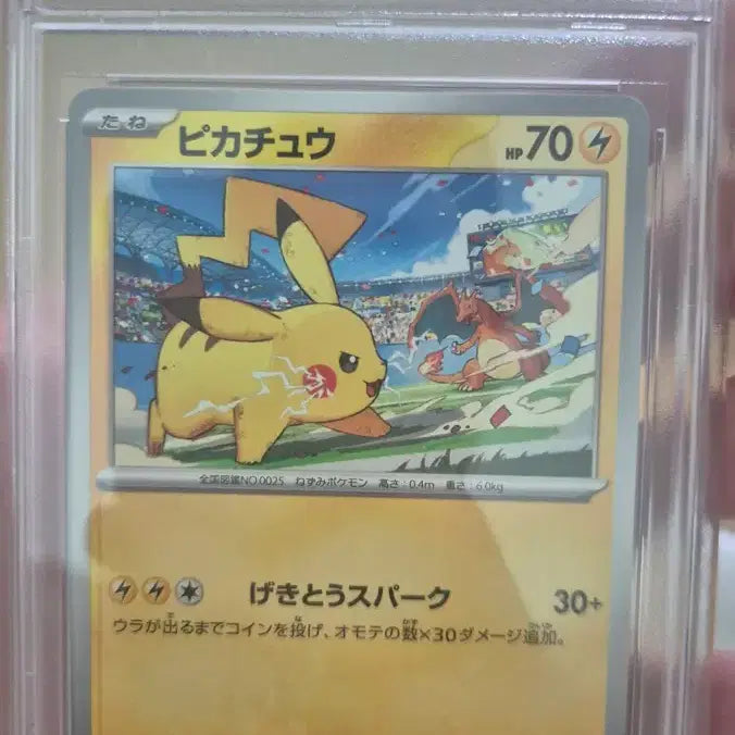 [SOLD OUT] 포켓몬카드 일판 짐프로모 피카츄 psa10