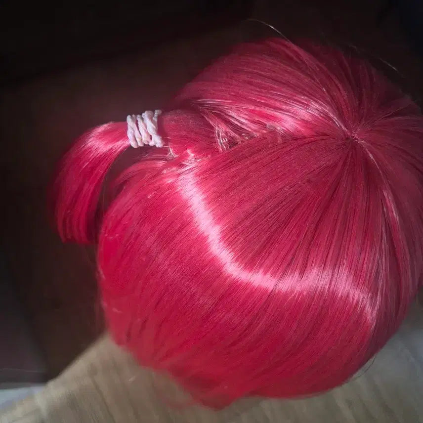 [BUNJANG] Bocchi the Rock Guitar Wig / 봇치더락 기타 가발