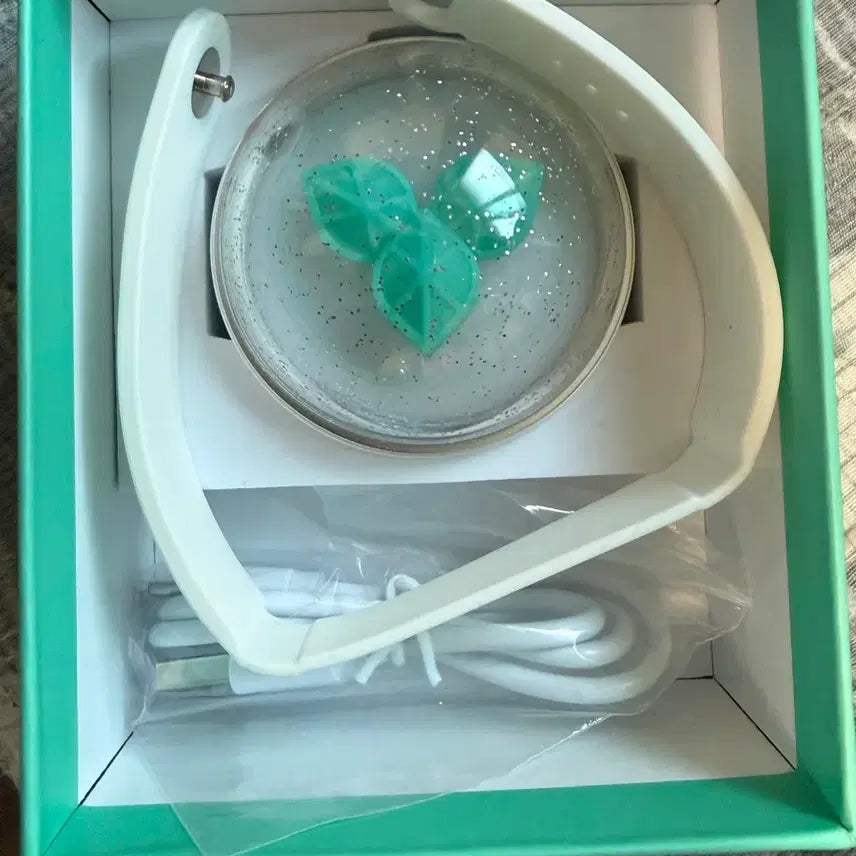 [SOLD OUT] DAY6 공식 라이트밴드 Ver3