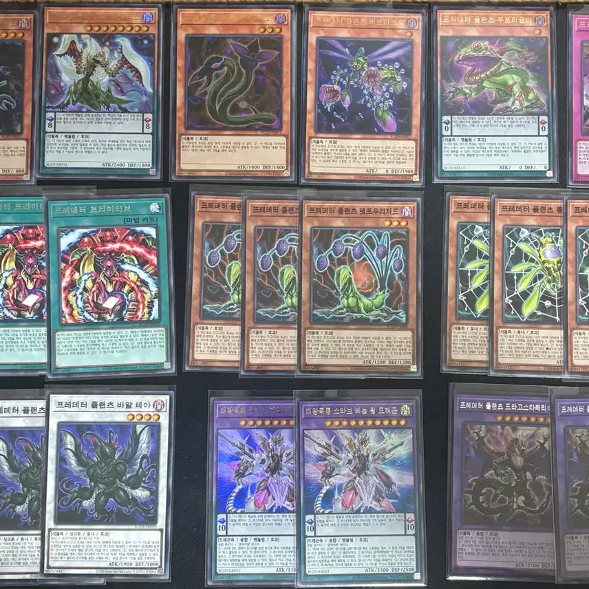 [BUNJANG] Yu-Gi-Oh! Predator, Crown, Fairy Tail, Killer Tune Card Bundle / 유희왕 블도미  프레데터. 크라운클랜. 페어리테일. 킬러튠 소스 판매
