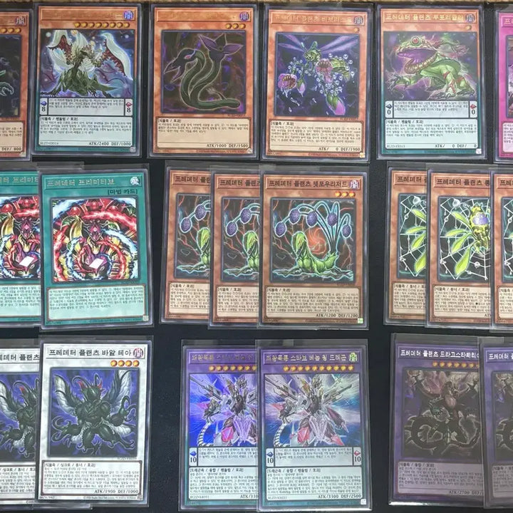 [BUNJANG] Yu-Gi-Oh! Predator, Crown, Fairy Tail, Killer Tune Card Bundle / 유희왕 블도미  프레데터. 크라운클랜. 페어리테일. 킬러튠 소스 판매