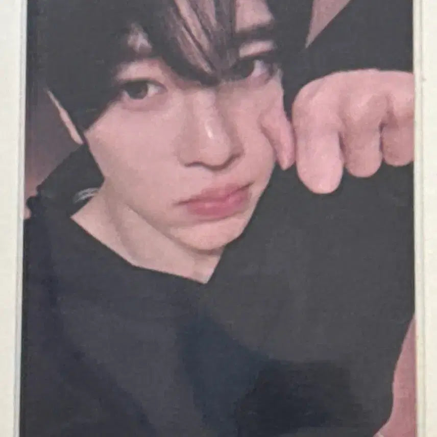 [SOLD OUT] 엔시티 위시 컬러 이즈위 시온 포카 양도 분철 포토카드 미공포