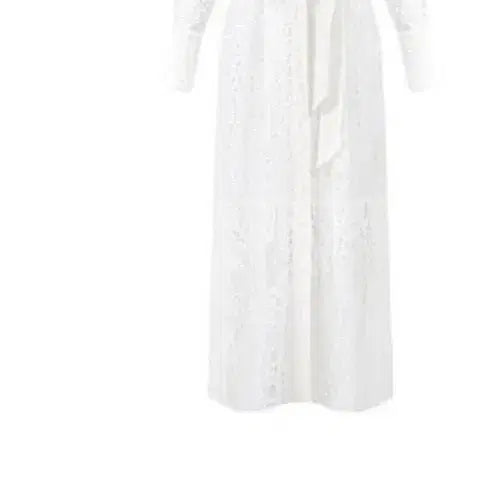 [BUNJANG] Merci Beaucoup All Lace See-Through Maxi Dress / (택채새)메르시비앙 올레이스 시스루맥시