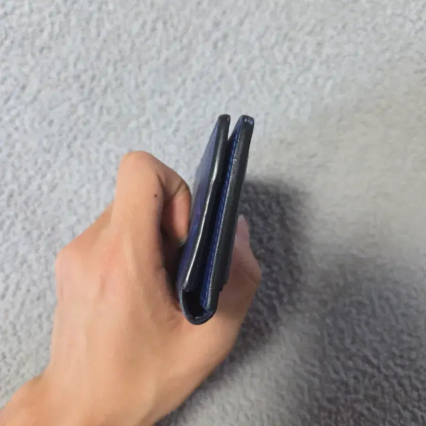 [BUNJANG] Louis Vuitton Pocket Organizer Cobalt Blue / [정품] 루이비통 포켓 오거나이저 코발트블루