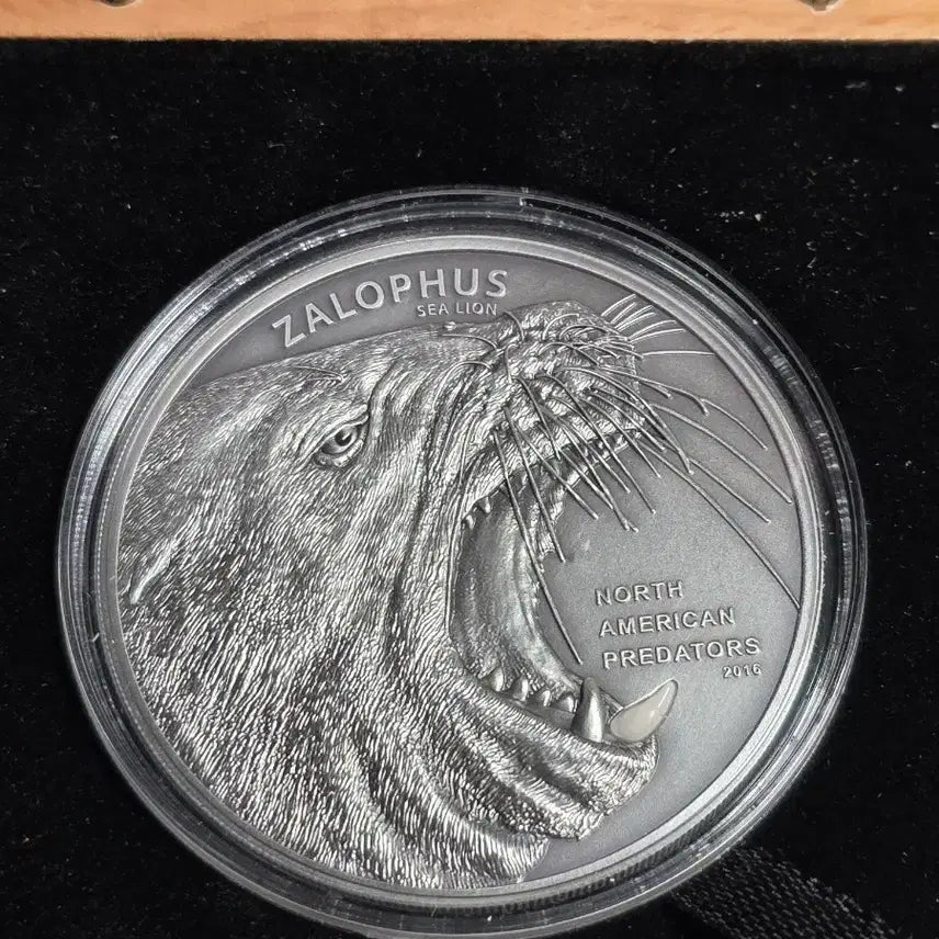 [BUNJANG] North America Predator Sea Lion 2oz Silver Coin / 복미  포식자 바다사자 2온스 엔티 크 은화