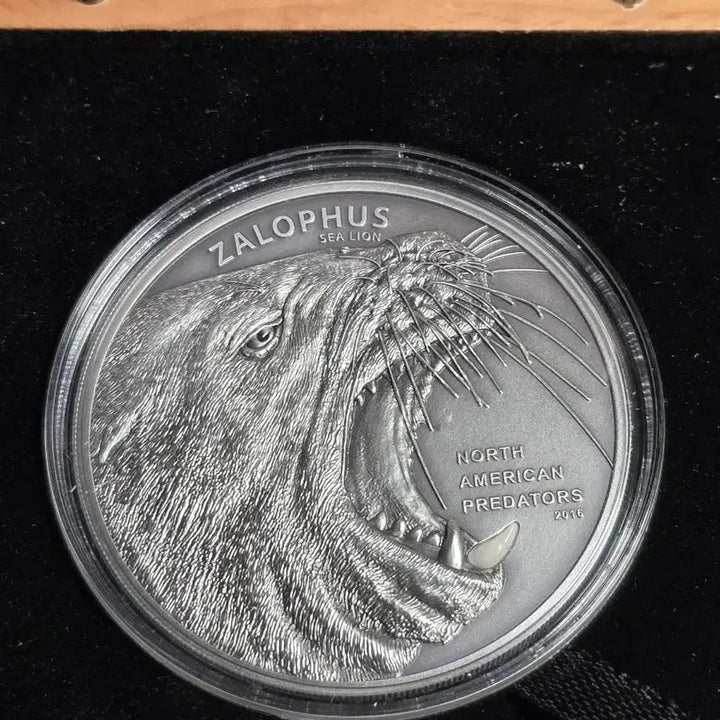 [BUNJANG] North America Predator Sea Lion 2oz Silver Coin / 복미  포식자 바다사자 2온스 엔티 크 은화