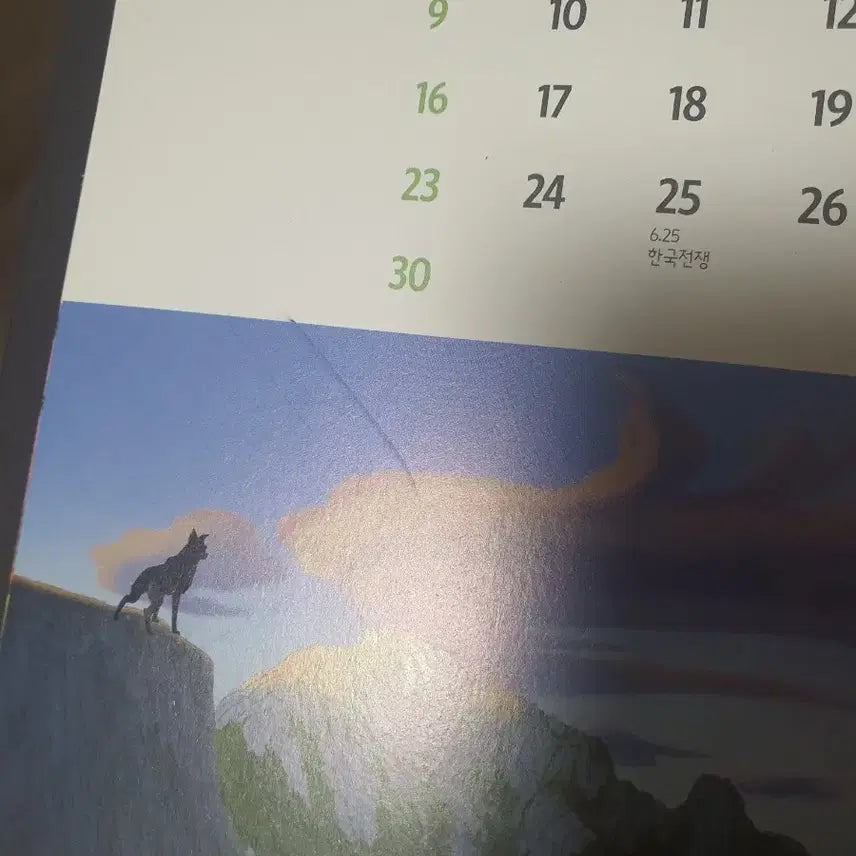 [BUNJANG] Underdog Badge &amp; Calendar / 언더독 뱃지, 달력