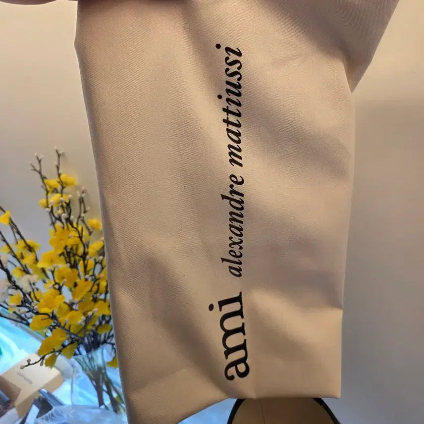 [BUNJANG] AMI Paris Stripe Canvas Tote Bag / [새상품] 아미(AMI) 파리 스트라이프 캔버스 토트백 (진짜24시간만