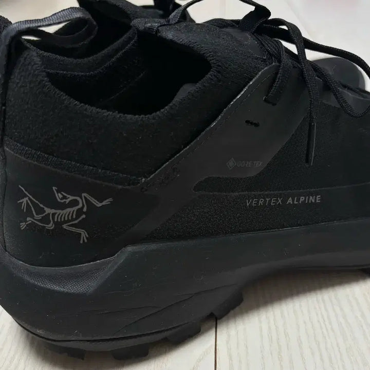 [SOLD OUT] [255] 아크테릭스 버텍스 알파인 GTX