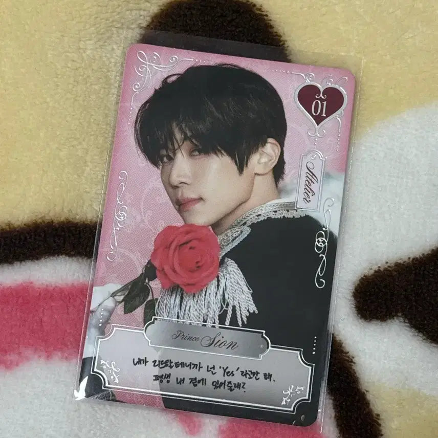 [BUNJANG] NCT WISH Sion 2nd Anniversary Special Photocard / 시온 엔시티위시 2주년 팬미팅 트레카 스페셜 포카 트레이딩카드