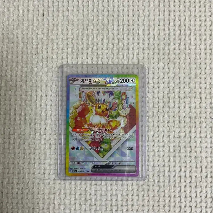 [SOLD OUT] 이브이 ex sar