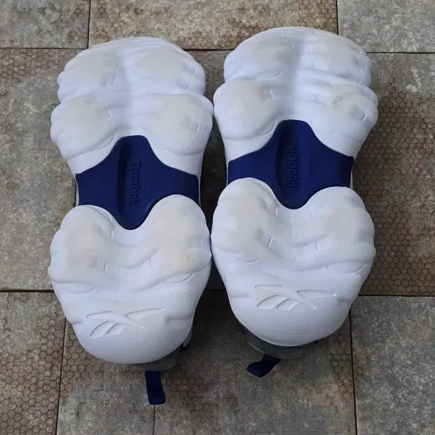 [BUNJANG] Reebok DMX Series 1000 Sneakers / (240)리복 dmx 시리즈 1000 스니커즈