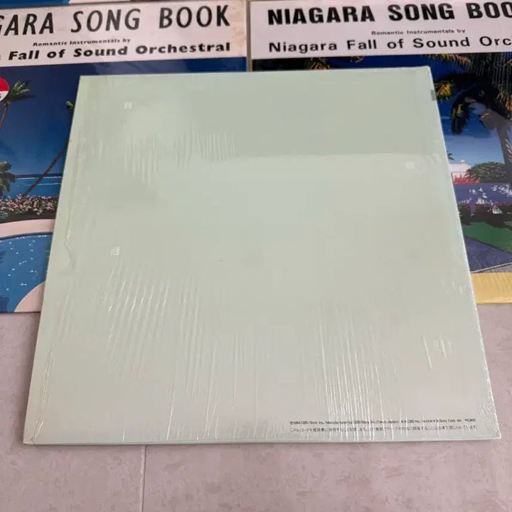 [BUNJANG] Eiichi Ohtaki Each Time LP Vinyl / Each time 오타키 에이이치 오타키 eiichi ohtaki (1)
