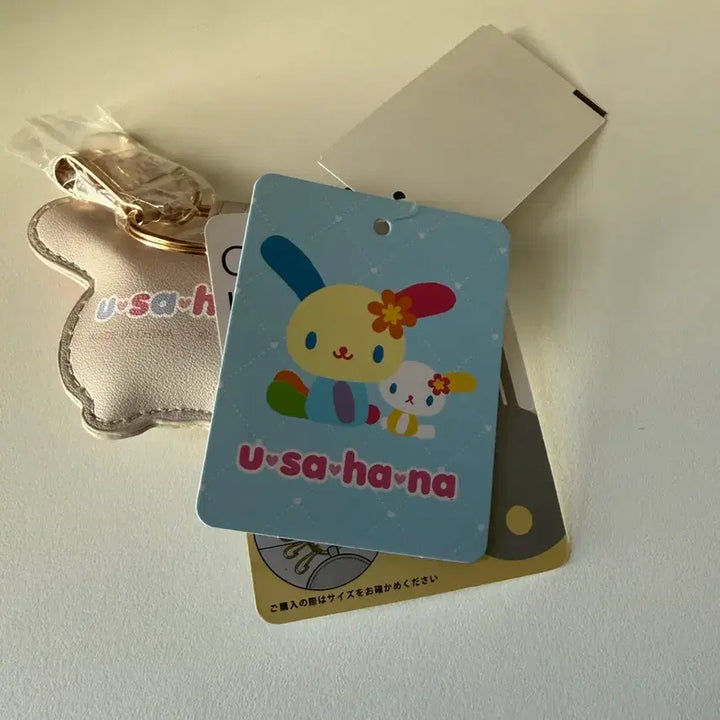 [BUNJANG] Sanrio Usahana Car Keyring / 산리오 아베일 우사하나 차키링
