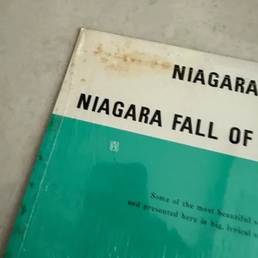 [BUNJANG] Eiichi Ohtaki Niagara Song Book 1 LP Record / Niagara Song Book 1 오타키 에이이치 오타키
