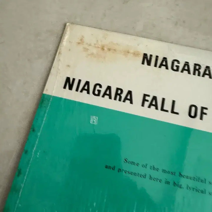 [BUNJANG] Eiichi Ohtaki Niagara Song Book 1 LP Record / Niagara Song Book 1 오타키 에이이치 오타키