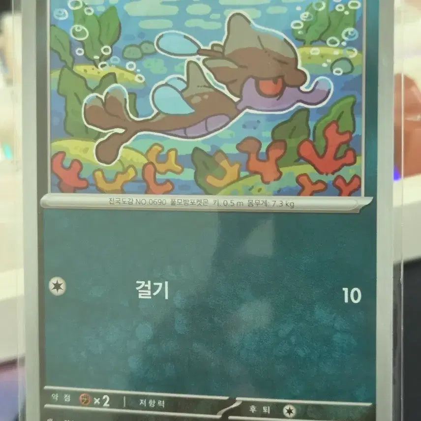 [BUNJANG] Pokemon Card / 포켓몬 카드 수레기
