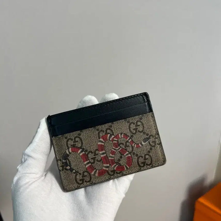 [SOLD OUT] 구찌 스네이크 카드지갑