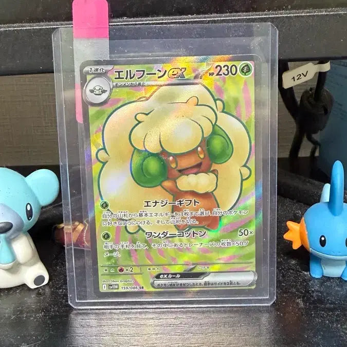 [BUNJANG] Pokemon Card SR Bundle Set / (일판)포켓몬 카드 SR 일괄 판매 (랜더 RR등급 추가 증정)