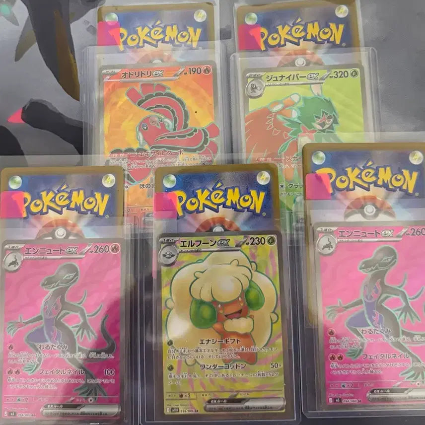 [BUNJANG] Pokemon Card SR Bundle Set / (일판)포켓몬 카드 SR 일괄 판매 (랜더 RR등급 추가 증정)