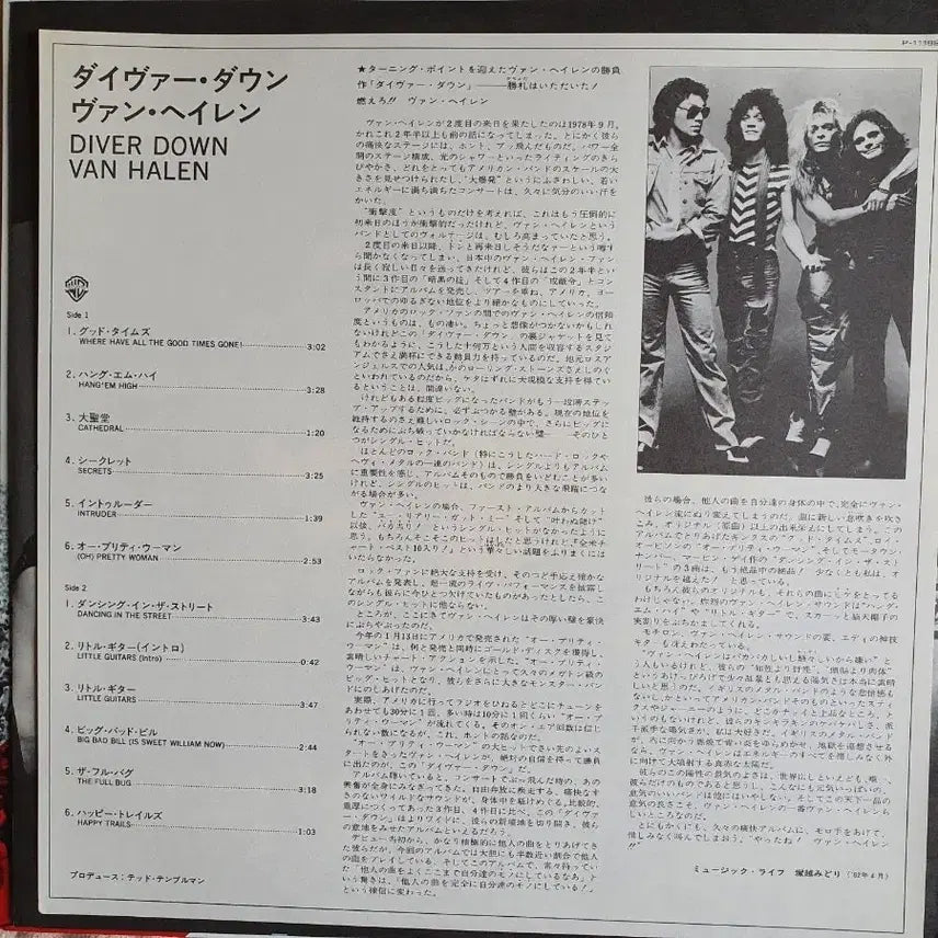 [BUNJANG] Van Halen Diver Down Vinyl Record / VAN HALEN 5집-DIVER DOWN LP