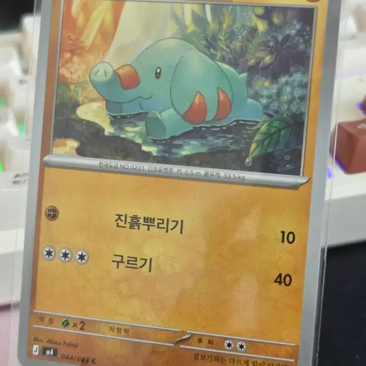 [BUNJANG] Pokemon Card Koko-ri / 포켓몬카드 코코리