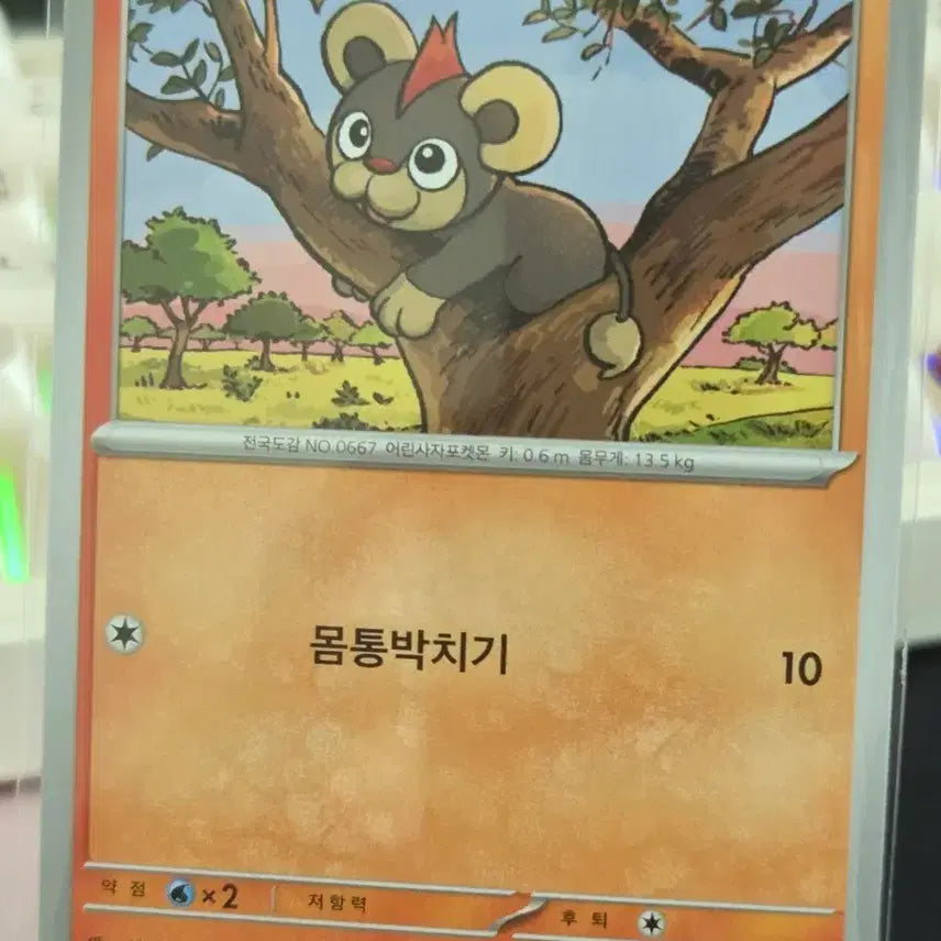 [BUNJANG] Pokemon Leo Card / 포켓몬카드 레오꼬