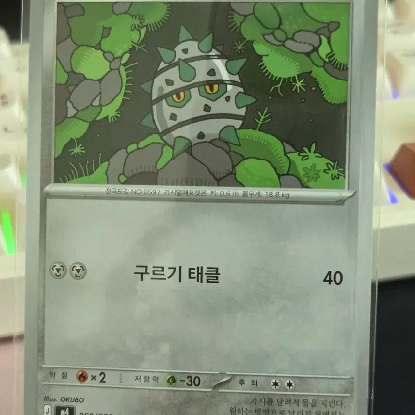 [BUNJANG] Pokemon Card Tirtouga / 포켓몬카드 철시드