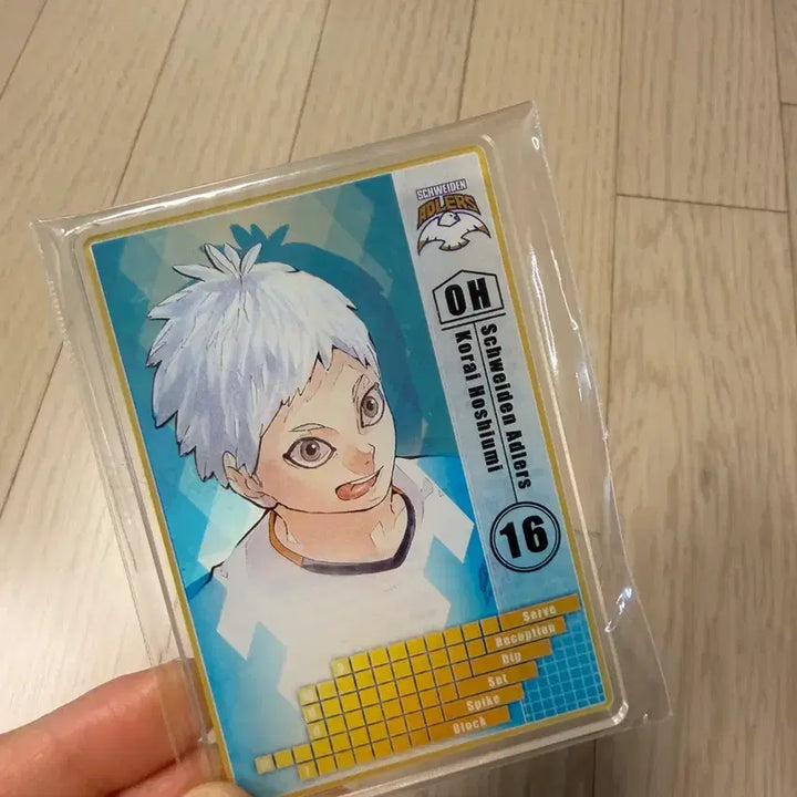 [BUNJANG] Haikyu Hoshiumi Acrylic Status Card / 하이큐 호시우미 아크릴 스테이터스 카드