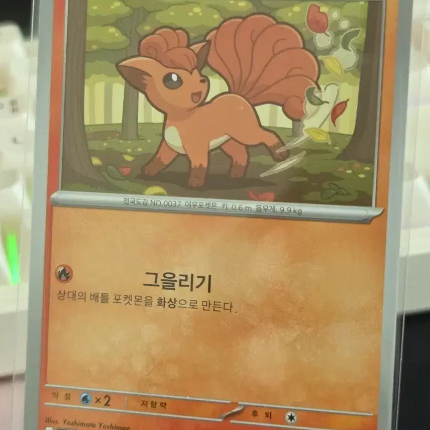 [BUNJANG] Pokemon Six-Tailed Card / 포켓몬 카드 식스테일
