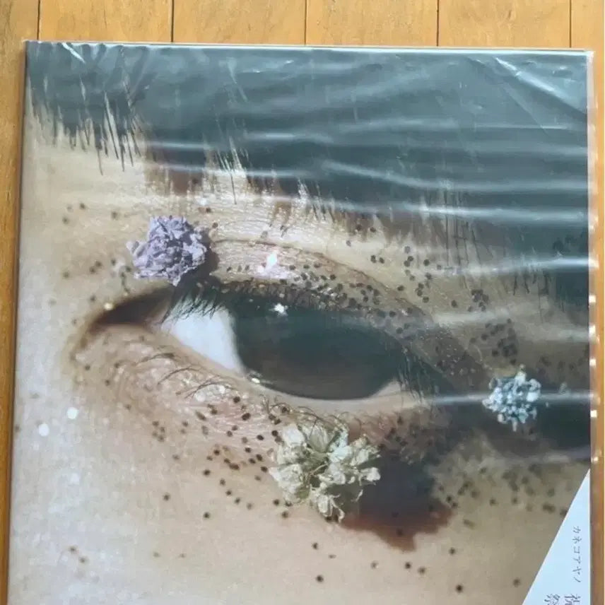 [BUNJANG] Ayano Kaneko Shukusai LP / Kaneko ayano syukusai 카네코 아야노 축제 LP