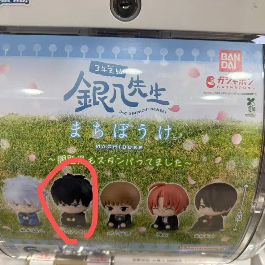[BUNJANG] Gintama Hijikata Toshiro Machiboke Figure / 은혼 마치보케 히지카타 피규어 가챠