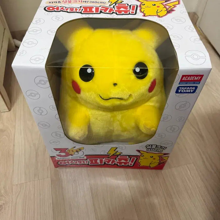 [SOLD OUT] 뚱카츄 판매합니다