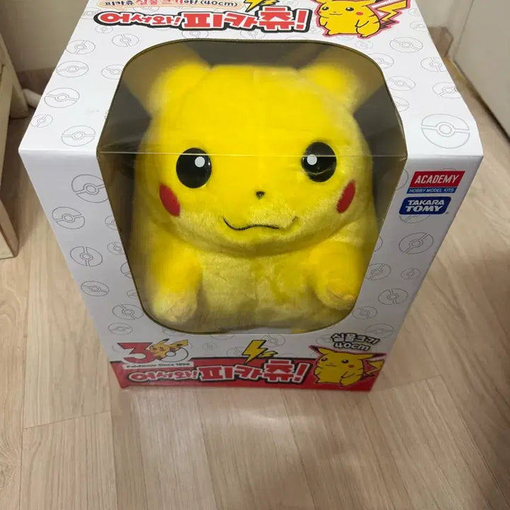 [SOLD OUT] 뚱카츄 판매합니다