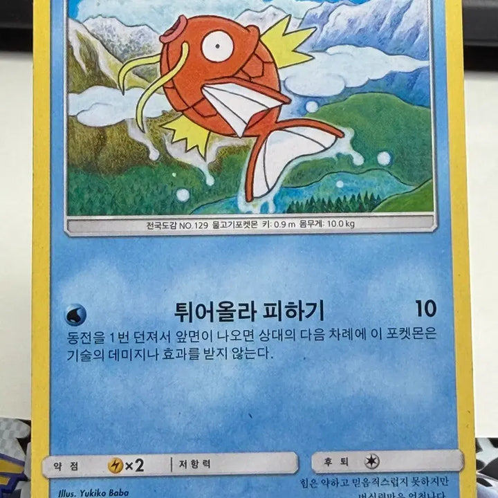 [BUNJANG] Gyarados Standard Card B+ Album Use / 잉어킹 일반 카드 [200원] B+ 앨범용