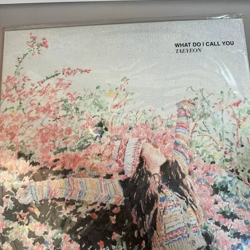 [BUNJANG] Taeyeon What Do I Call You LP Unsealed / 태연 what do i call you lp 개봉반