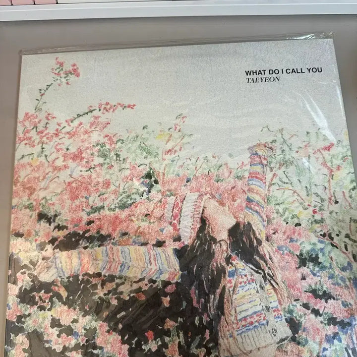 [BUNJANG] Taeyeon What Do I Call You LP Unsealed / 태연 what do i call you lp 개봉반