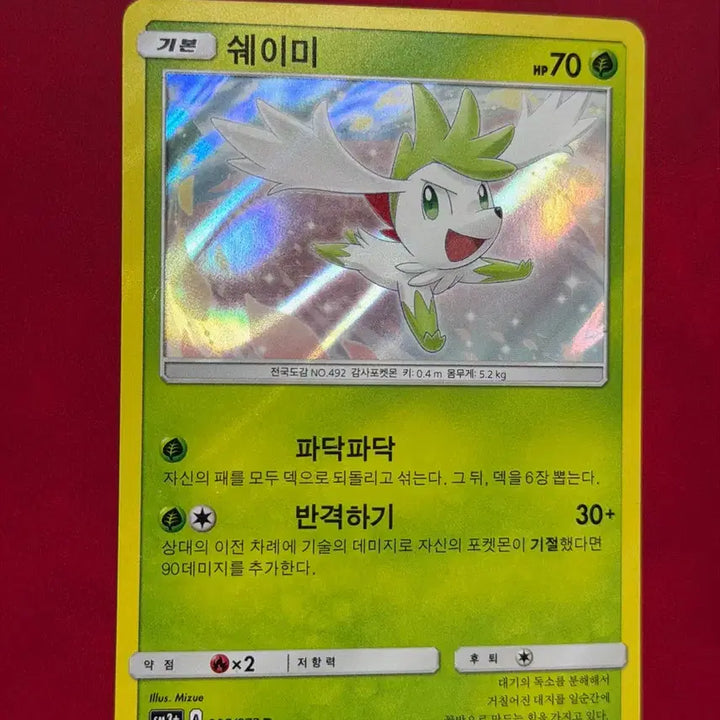 [BUNJANG] Sealed Shiny Gracedia Shaymin Holo Rare Pokémon Card / 귀여운 포켓몬 고전 홀로 희귀 카드 (쉐이미)