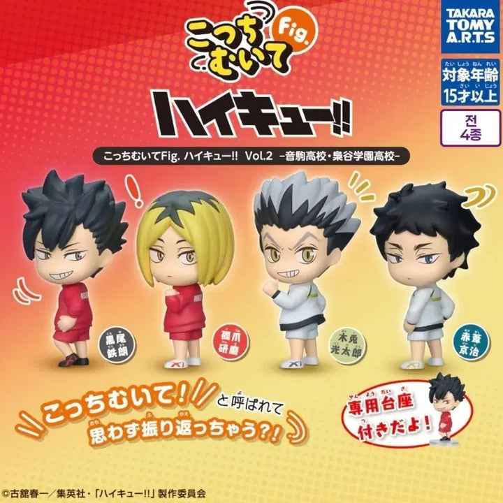 [BUNJANG] Haikyuu!! Akaashi "Look Back" Gacha Figure / [아카아시] 하이큐 뒤돌아봐요 가챠 피규어
