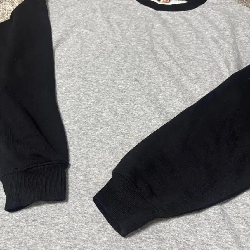 [SOLD OUT] 일본판 퍼플앤옐로우 맨투맨 사이즈 105
