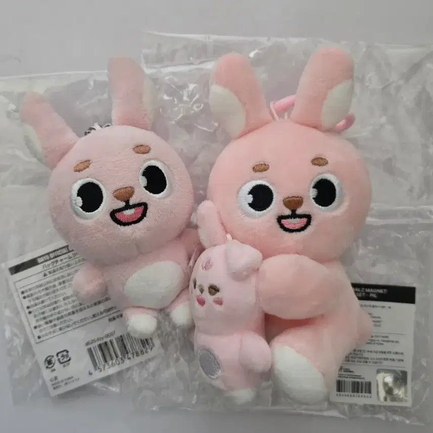 [BUNJANG] Day6 Japanese Baekcham Bundle Set / 데이식스 일본 백참. 나안아 필 필끼 일괄 양도