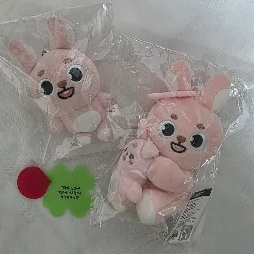 [BUNJANG] Day6 Japanese Baekcham Bundle Set / 데이식스 일본 백참. 나안아 필 필끼 일괄 양도