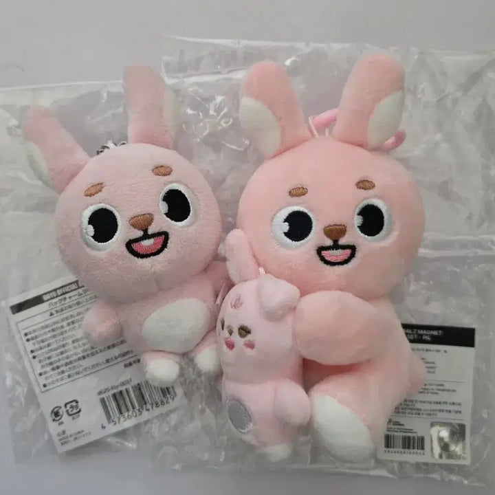 [BUNJANG] Day6 Japanese Baekcham Bundle Set / 데이식스 일본 백참. 나안아 필 필끼 일괄 양도