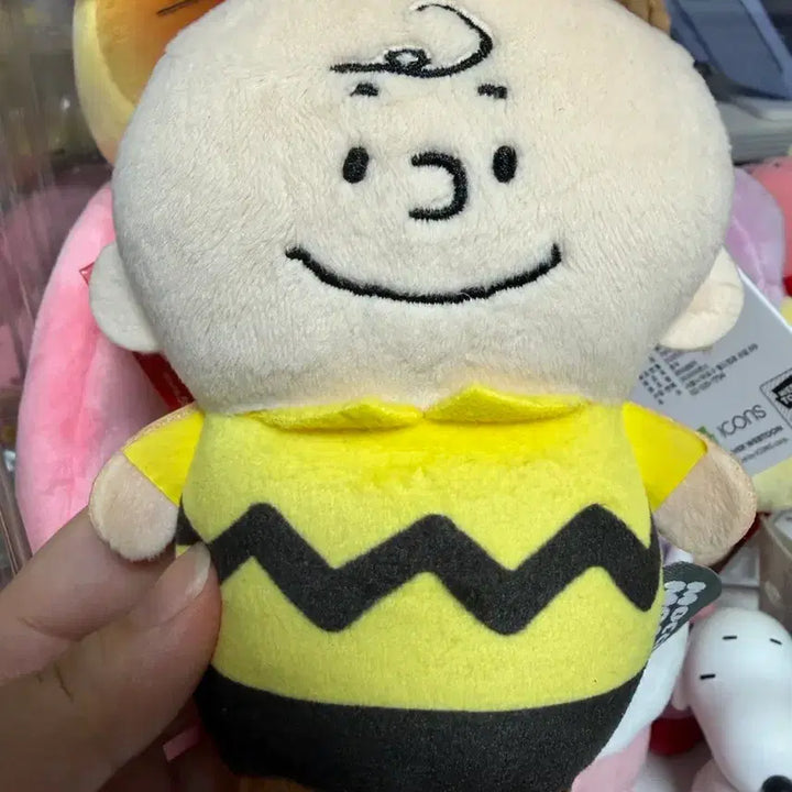 [BUNJANG] Snoopy Mochi Mochi Charlie Brown Plush Doll / 스누피 모찌모찌 찰리브라운 인형