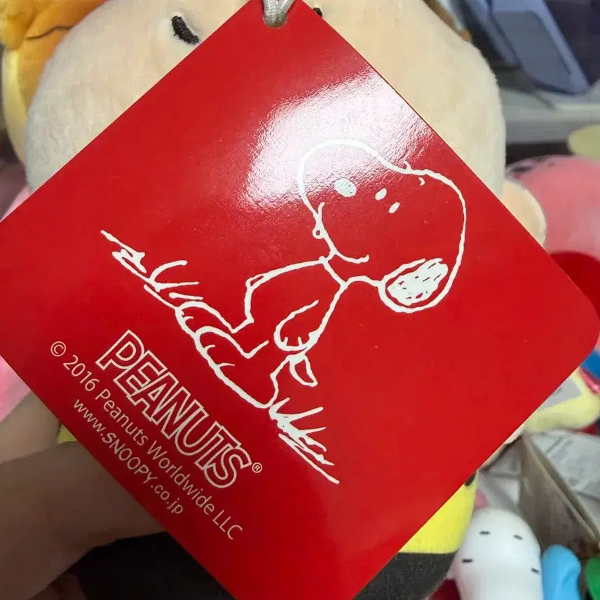 [BUNJANG] Snoopy Mochi Mochi Charlie Brown Plush Doll / 스누피 모찌모찌 찰리브라운 인형
