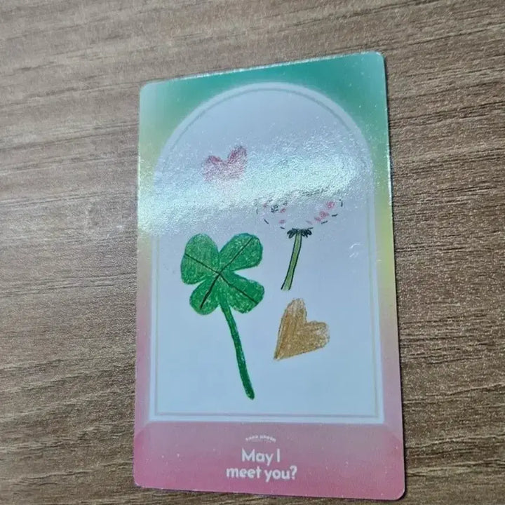 [BUNJANG] Park Jihoon May i meet you? Photocard / 박지훈 2022 May i meet you? 생일 팬미팅 토끼풀 포카
